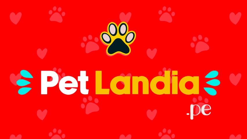 Petlandia